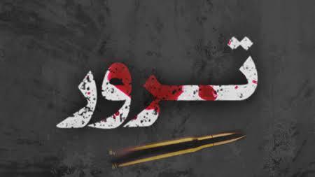 ترور، پایان انقلاب نیست